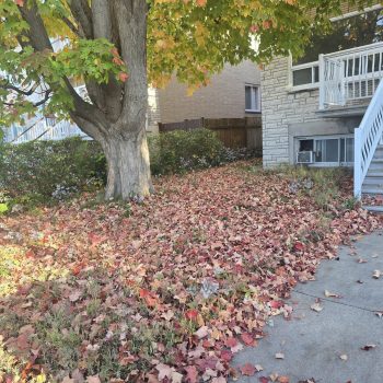 558788908_122095714641062362_235869025982368258_n